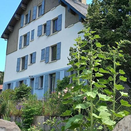 Chalet Du Doumet - Appart Luz Centre - Parking Et Garage Individuel Ferme - Draps Et Serviettes Inclus ลูซ-แซ็ง-โซเวอร์ ภายนอก รูปภาพ